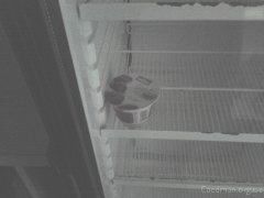 Click for larger image