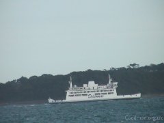 Click for larger image