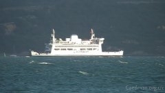 Click for larger image